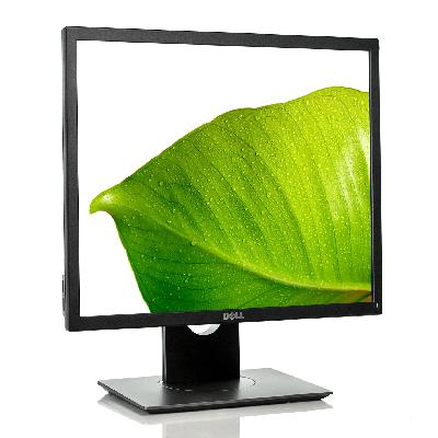 Dell Monitor 19"